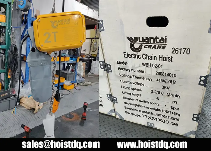 2 ton double speed electric chain hoist Malaysia
