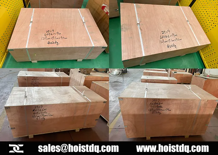 5 ton 10 ton double speed wire rope hoists to kenya