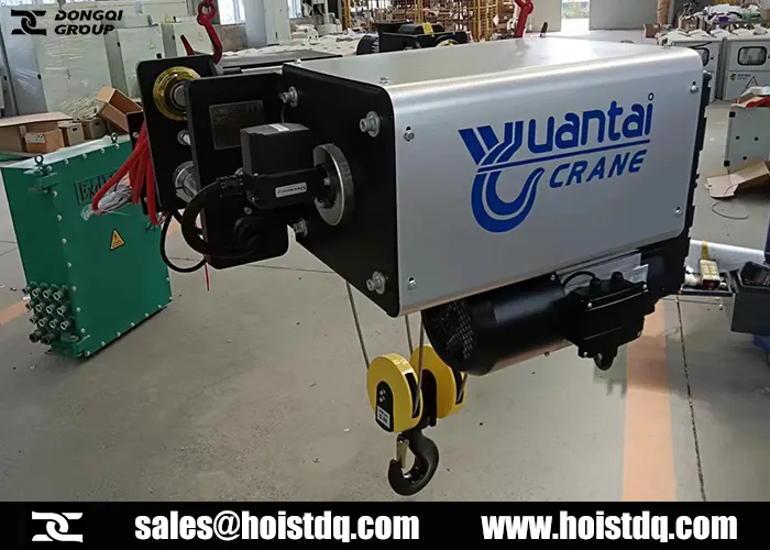 Electric Hoist Philippines: 5 Ton FEM Hoist for Paper Mill in Philippines