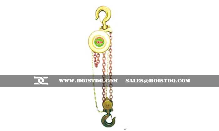 Explosion proof hand hoist