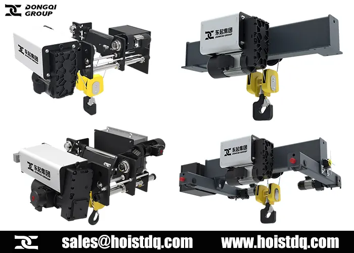 NR type FEM hoist for sale to Philippines