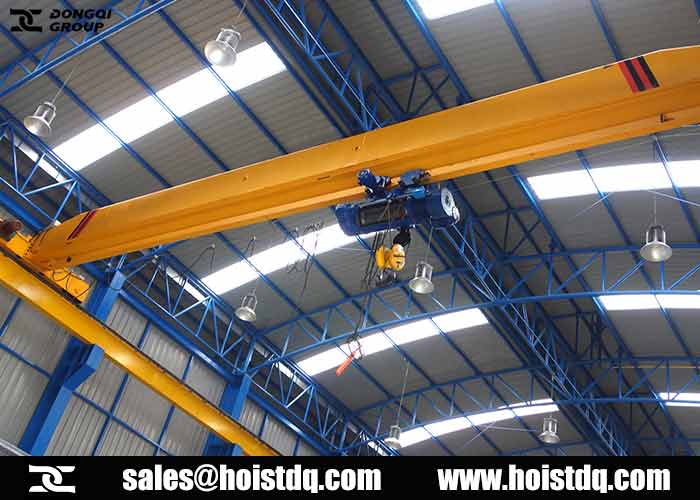 Electric hoist crane for sale