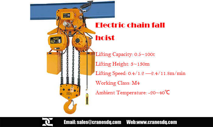 Chain fall hoist and electric chain hoist