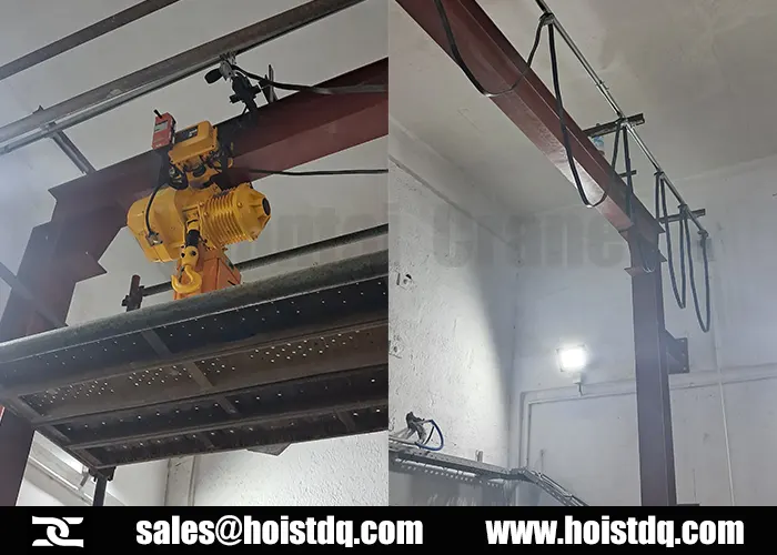 electric chain hoist for Sri Lanka rubber factory