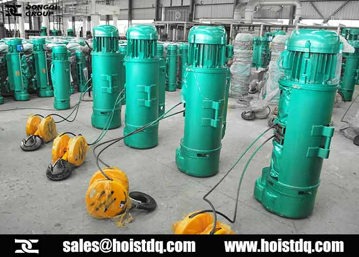 Electric hoist for sale