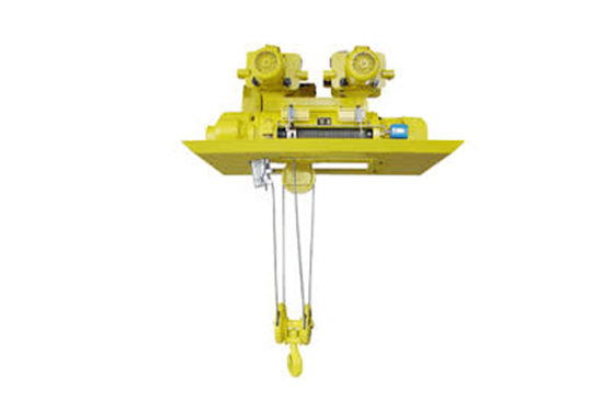 Dongqi lightweight Electric Hoist For Sale