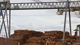 Log crane for log handling