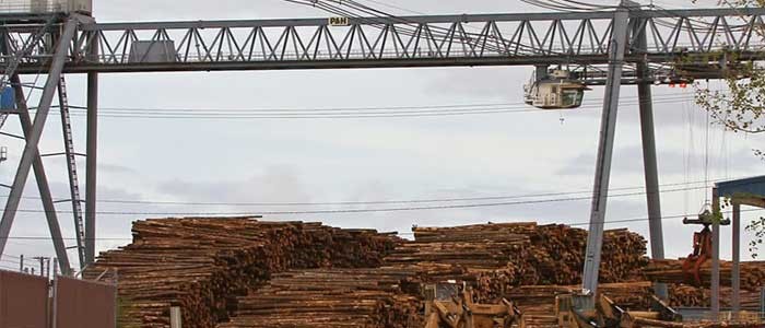 Log crane for efficient log handling in wood processing industries