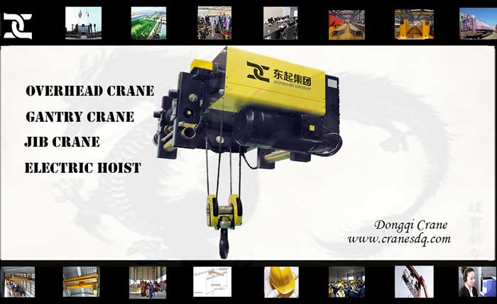 One Ton Hoist- FEM electric hoist